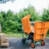 Posch Holzspalter Polly mit hydraulische Stammhebevorrichtung inkl. grosser Holzablage – Bild 3